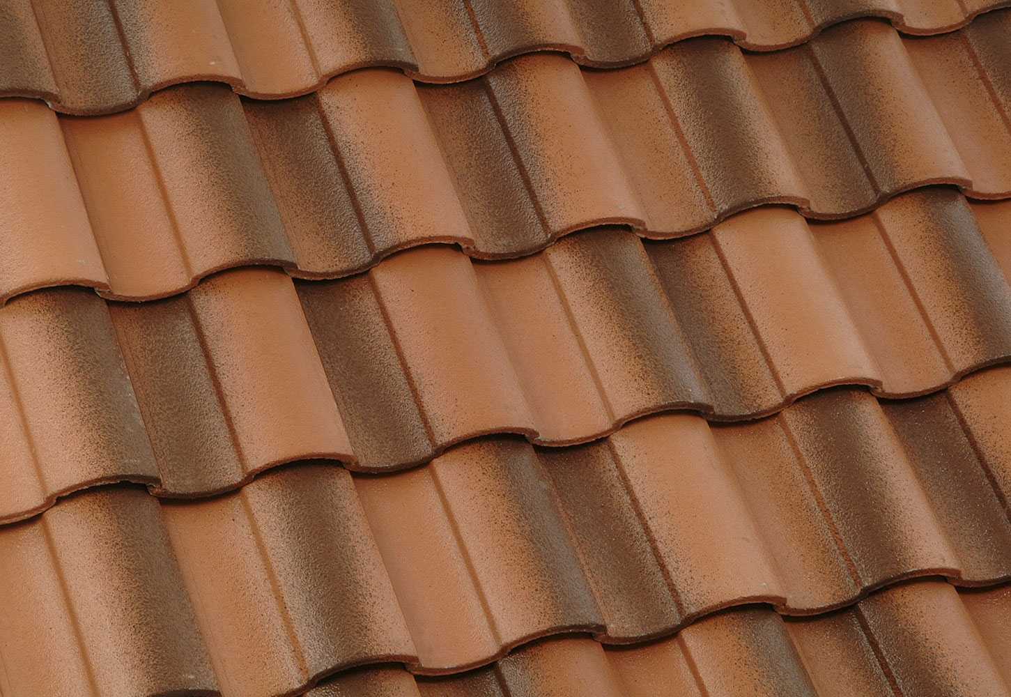 Roof Life Company of Northern California, Inc. Images
