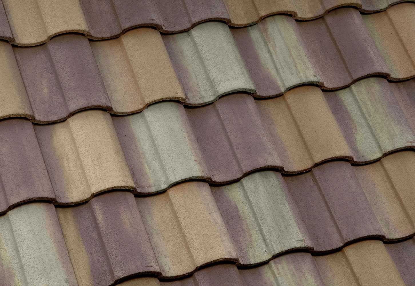 Roof Life Company of Northern California, Inc. Images