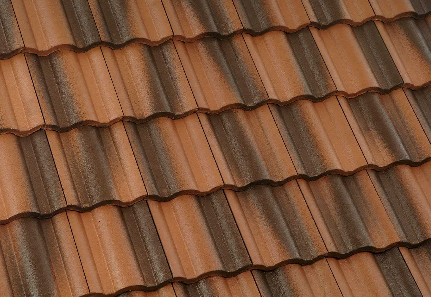 Roof Life Company of Northern California, Inc. Images