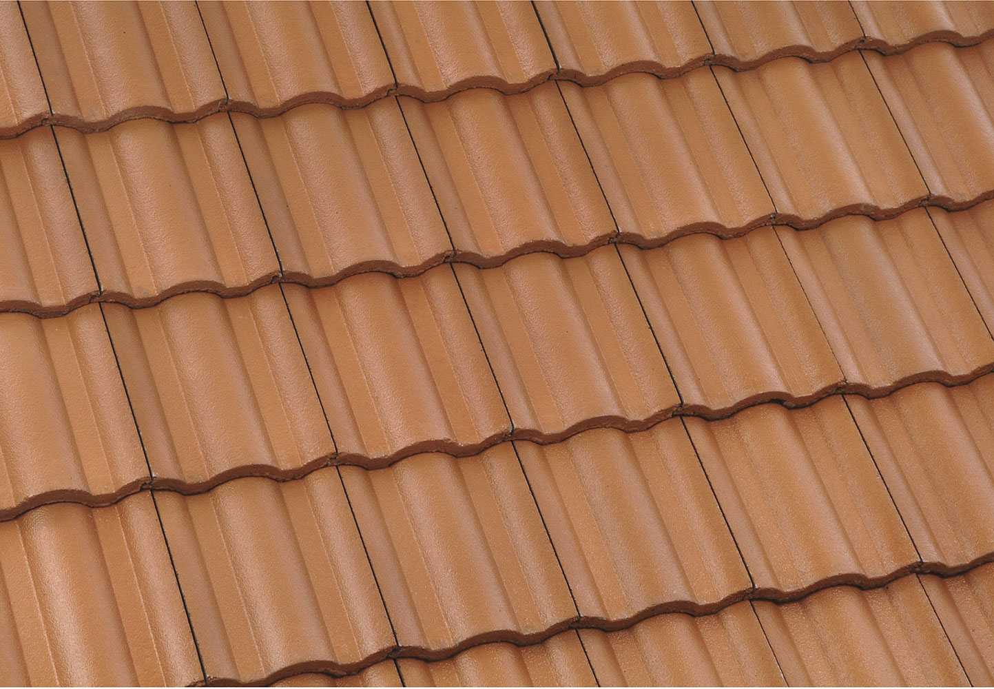 Roof Life Company of Northern California, Inc. Images