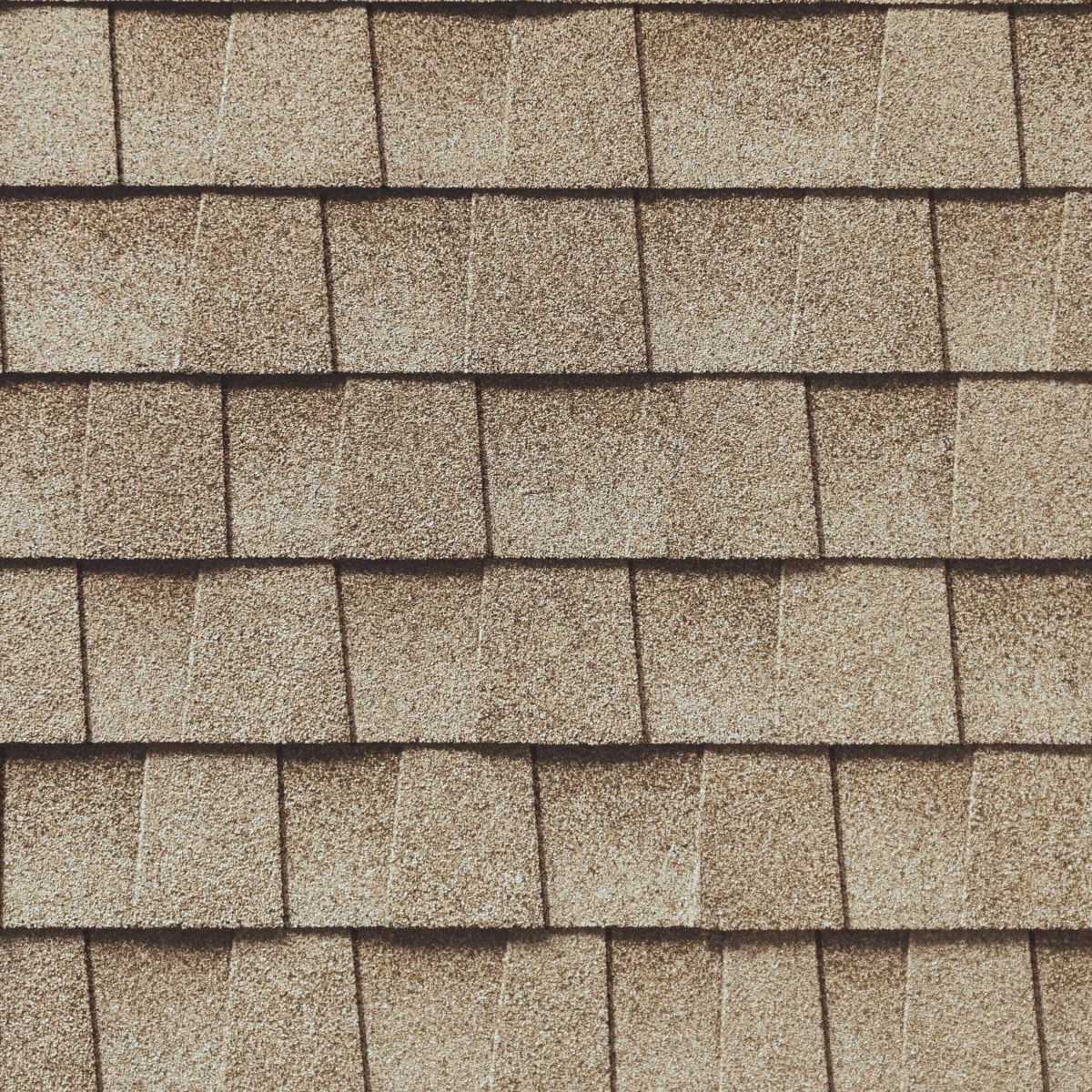 Roof Life Company of Northern California, Inc. Images