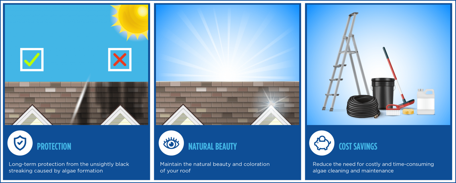 Roof Life Company of Northern California, Inc. Images