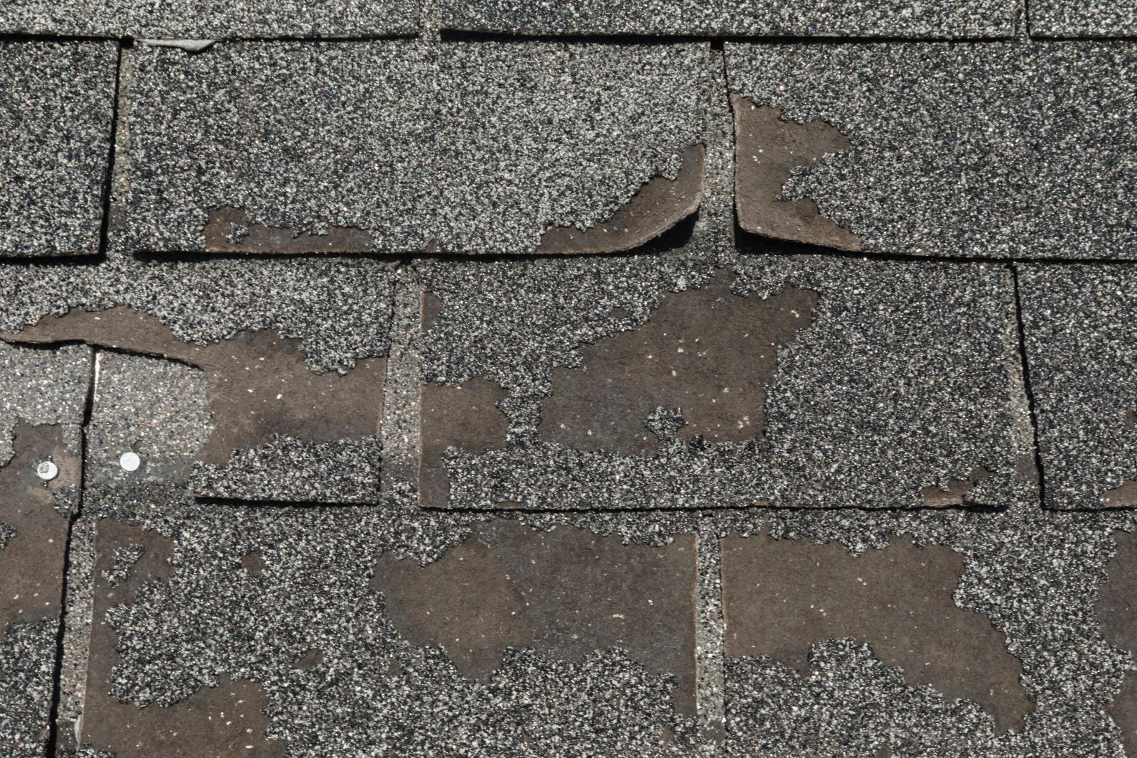 Roof Life Company of Northern California, Inc. Images